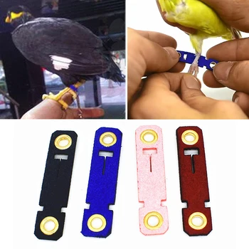 Новое кожаное кольцо для ног Bird Parrot Foot, живая пряжка, Голубиный бархатный чехол для ног, кожаное кольцо для ног Parrot