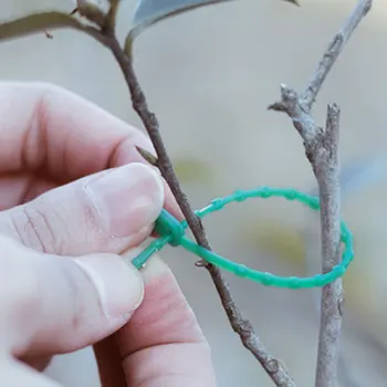 Регулируемые Пластиковые кабельные стяжки для растений, кабельные стяжки многоразового использования, наборы для выращивания в теплице для сада, инструменты для поддержки лазания по деревьям, кабельные стяжки