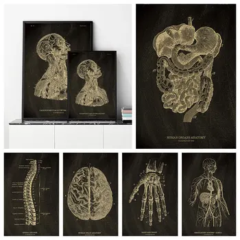Старинные Плакаты Head Joint Ретро Крафт-Плакат Структура Человека Медицинская Научная Картина Домашний Декор Бытовая Живопись Для Стены
